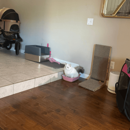 post-images-new (1)