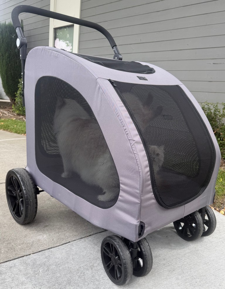 wagon_assembled
